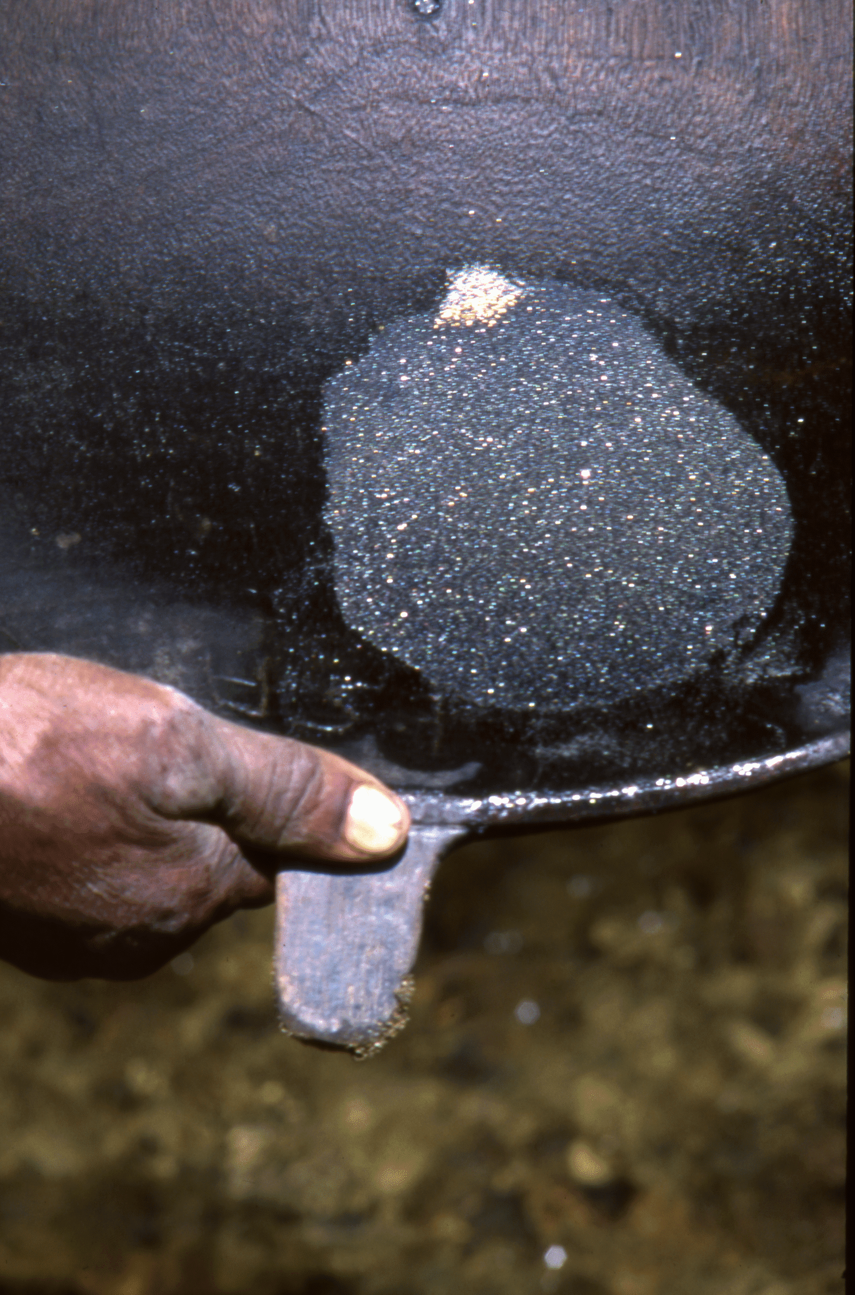 Oro del cuál te sentirás orgulloso